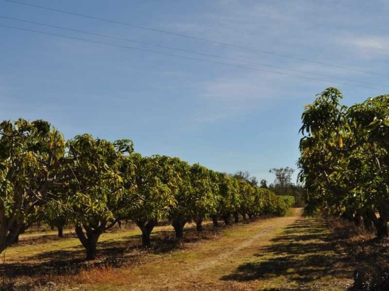 679 Springmount Road, Mutchilba QLD 4872