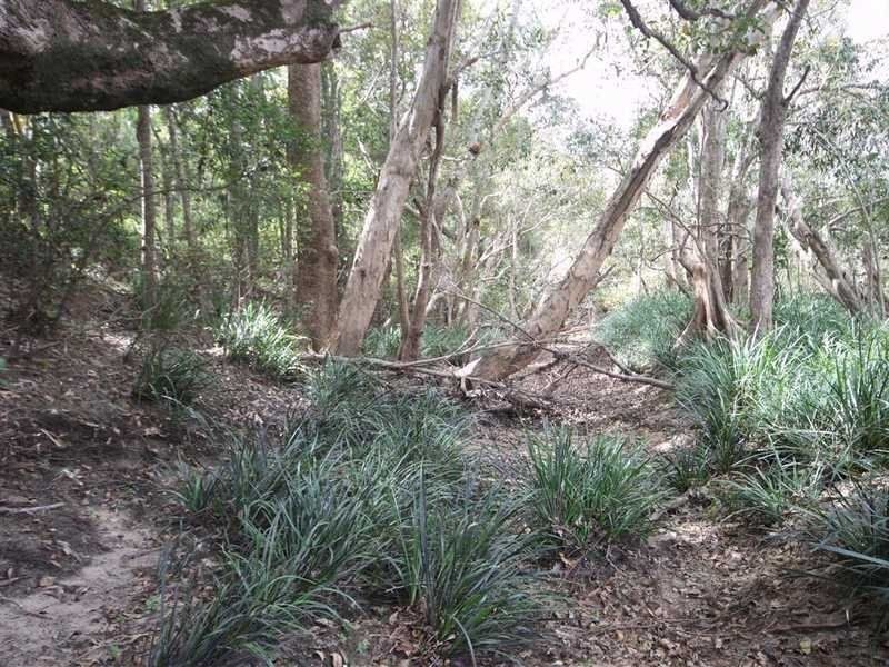 618 Hodzic Road, Mareeba QLD 4880