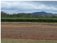 Mutchilba QLD 4872