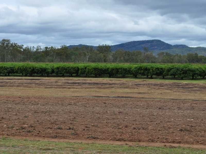 Mutchilba QLD 4872
