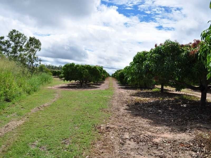 Mutchilba QLD 4872