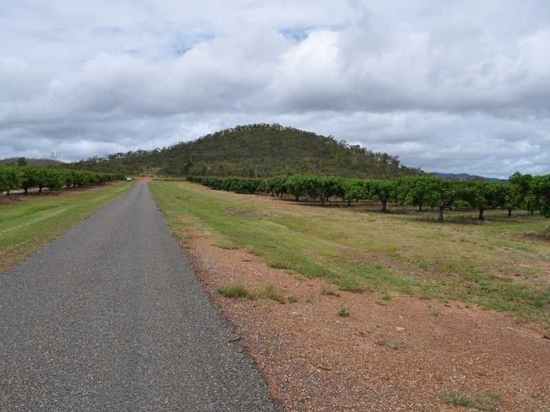 Mutchilba QLD 4872