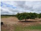 Mutchilba QLD 4872