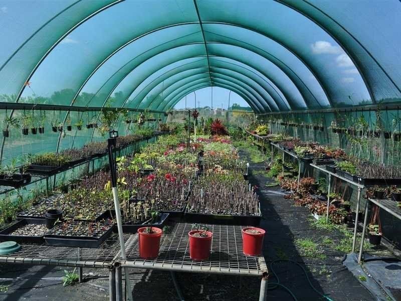 1077 Carmen Road, Paddys Green QLD 4880