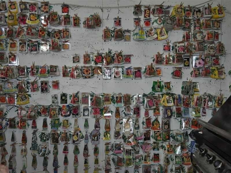 1077 Carmen Road, Paddys Green QLD 4880