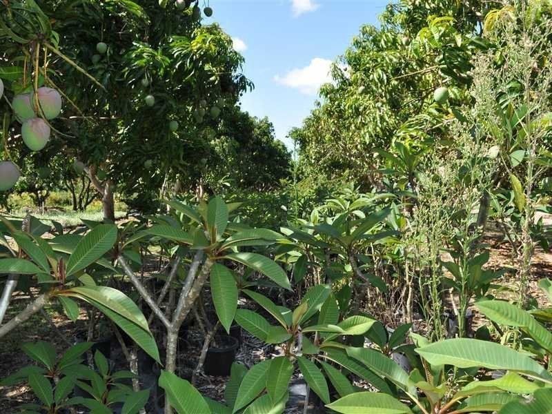 1077 Carmen Road, Paddys Green QLD 4880