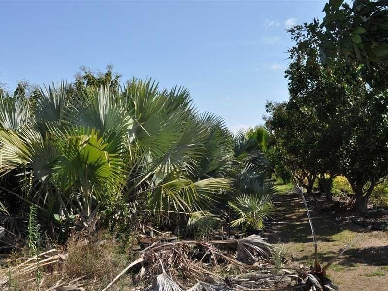 1077 Carmen Road, Paddys Green QLD 4880