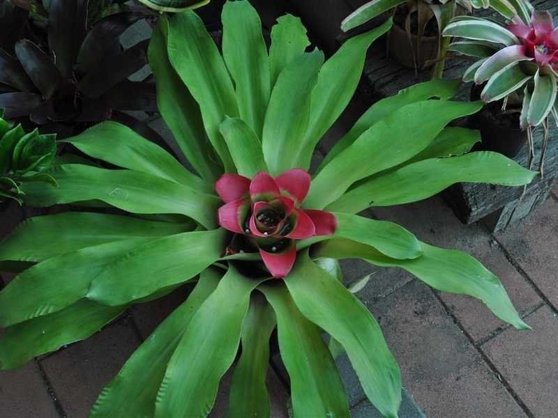 1077 Carmen Road, Paddys Green QLD 4880