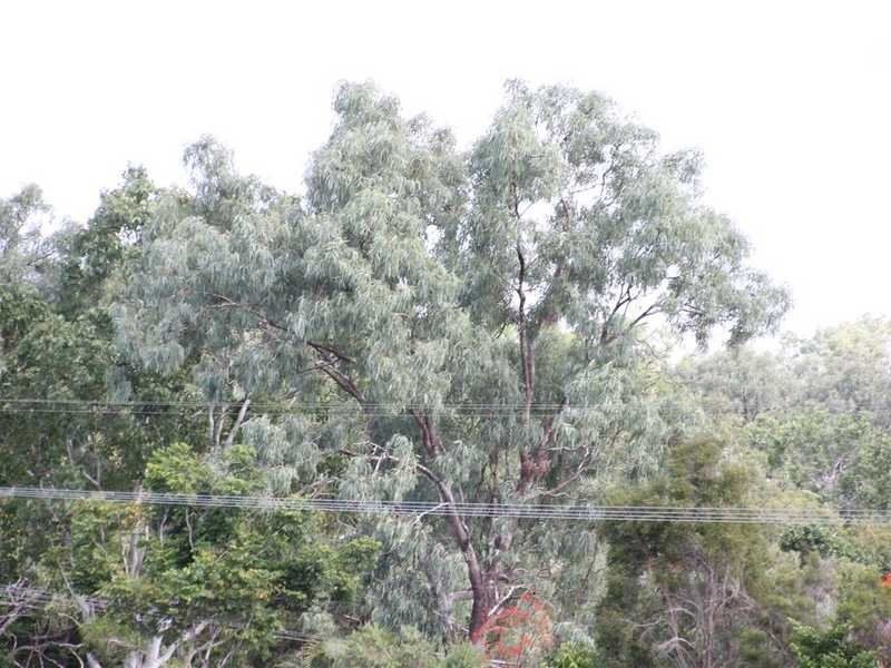 13 Damien Close, Mareeba QLD 4880