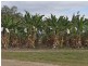 Lot 139 Peninsula Development Road, Biboohra QLD 4880