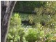 L162 Springmount Weir Road, Mareeba QLD 4880
