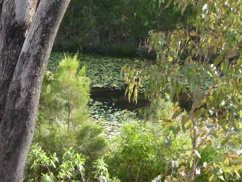 L162 Springmount Weir Road, Mareeba QLD 4880