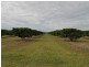 Randazzo Road, Mareeba QLD 4880