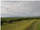 Randazzo Road, Mareeba QLD 4880