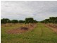 Randazzo Road, Mareeba QLD 4880