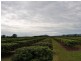 Randazzo Road, Mareeba QLD 4880