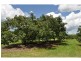 146 Bower Road, Arriga QLD 4880