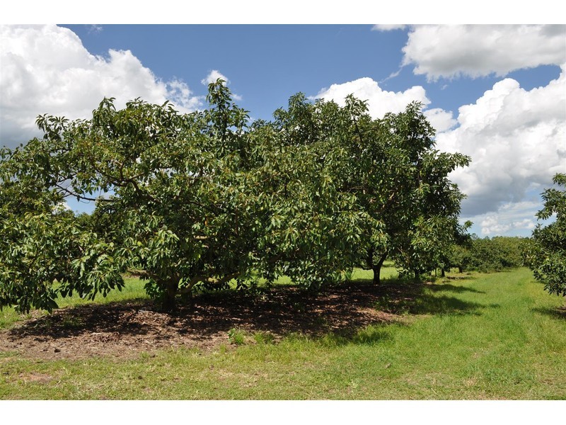 146 Bower Road, Arriga QLD 4880