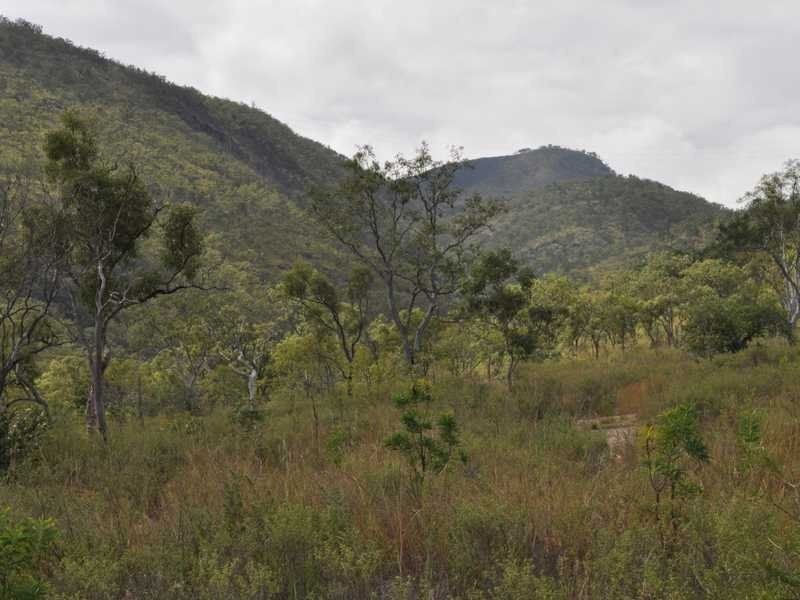 Mareeba QLD 4880