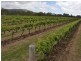 323 Fassio Road, Mareeba QLD 4880