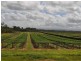 323 Fassio Road, Mareeba QLD 4880