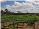 323 Fassio Road, Mareeba QLD 4880