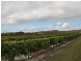323 Fassio Road, Mareeba QLD 4880