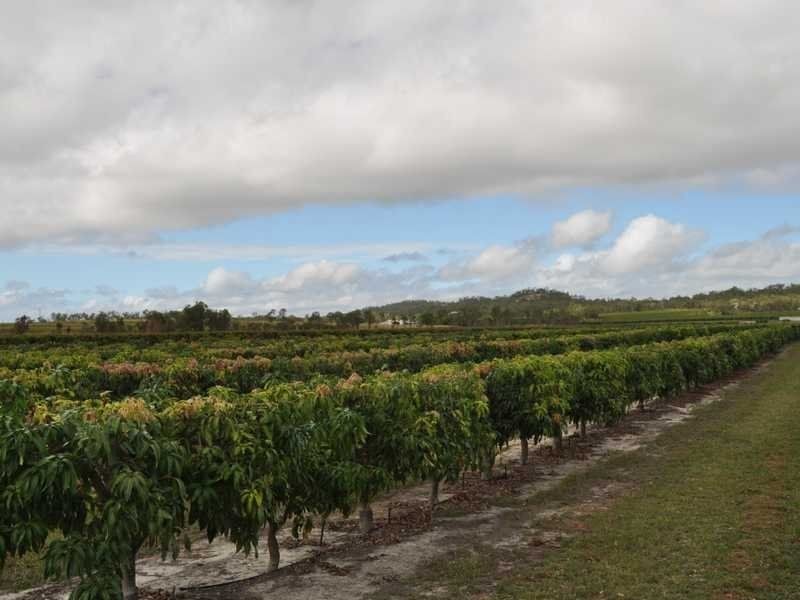 323 Fassio Road, Mareeba QLD 4880