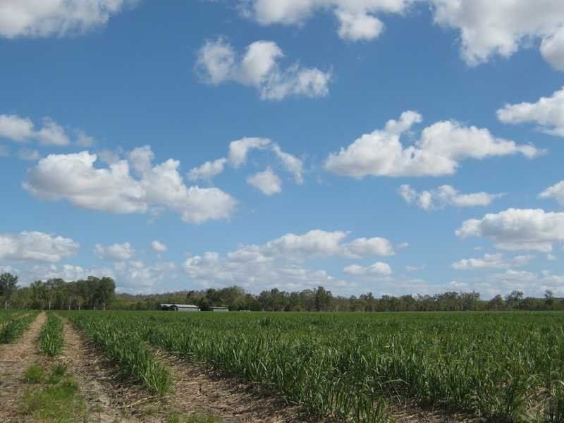 2 Fassio Road, Mareeba QLD 4880