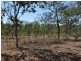 Mareeba QLD 4880