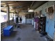 967 Bilwon Road, Mareeba QLD 4880