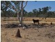 Mutchilba QLD 4872