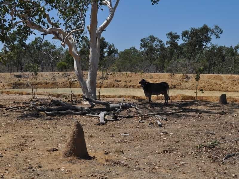 Mutchilba QLD 4872
