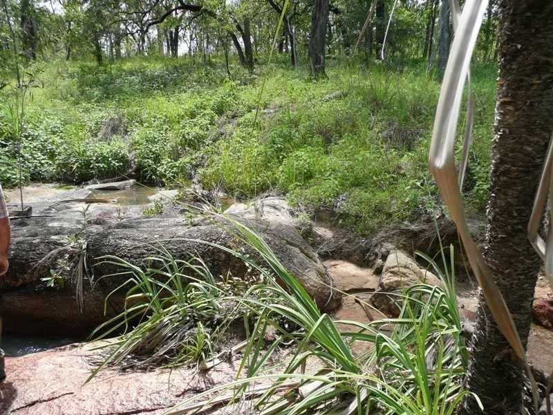 Lot 60 Leafgold Weir Road, Dimbulah QLD 4872