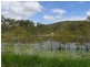 Koah QLD 4881