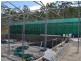 Koah QLD 4881