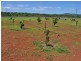 31 Dean Circuit, Mareeba QLD 4880