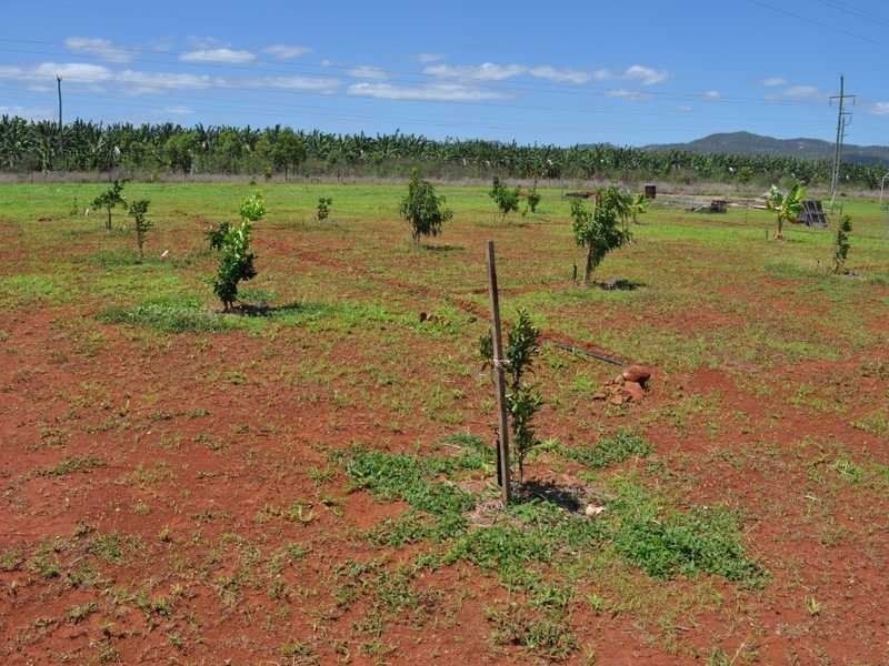 31 Dean Circuit, Mareeba QLD 4880