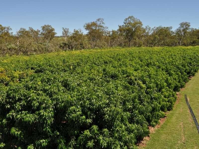 375 Bower Road, Mareeba QLD 4880