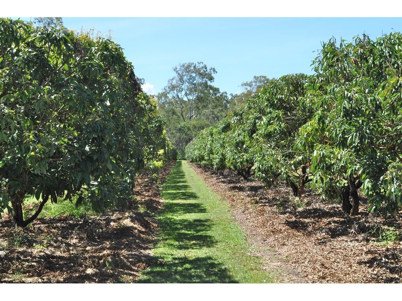 375 Bower Road, Mareeba QLD 4880