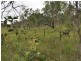 Mareeba QLD 4880