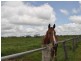 96 Masterson Road, Mutchilba QLD 4872