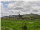 96 Masterson Road, Mutchilba QLD 4872