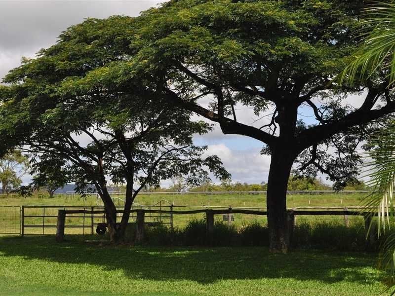 96 Masterson Road, Mutchilba QLD 4872