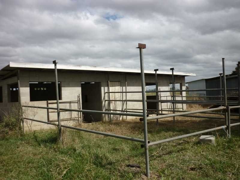 96 Masterson Road, Mutchilba QLD 4872