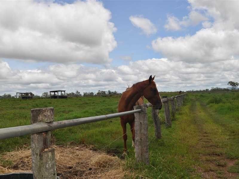 96 Masterson Road, Mutchilba QLD 4872