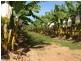 118 Mcmillan Road, Mareeba QLD 4880