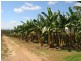118 Mcmillan Road, Mareeba QLD 4880