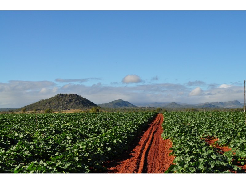 Lot 3, 1013 Mareeba – Dimbulah Road, Mareeba QLD 4880