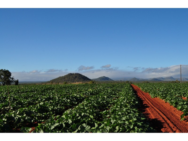 Lot 3, 1013 Mareeba – Dimbulah Road, Mareeba QLD 4880